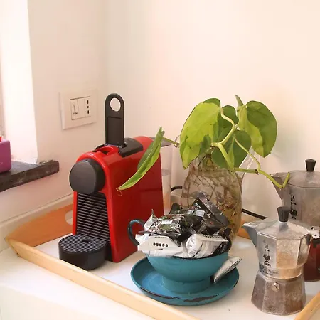 Deco Garden Trastevere